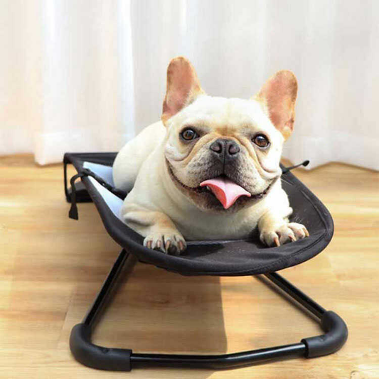 12 - Cama Mecedora para Mascota